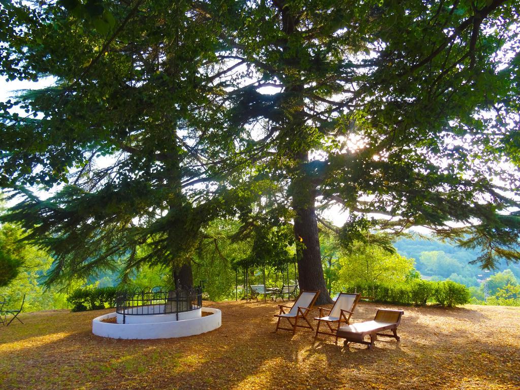 La Celestina Bed & Breakfast Piana Crixia Dış mekan fotoğraf